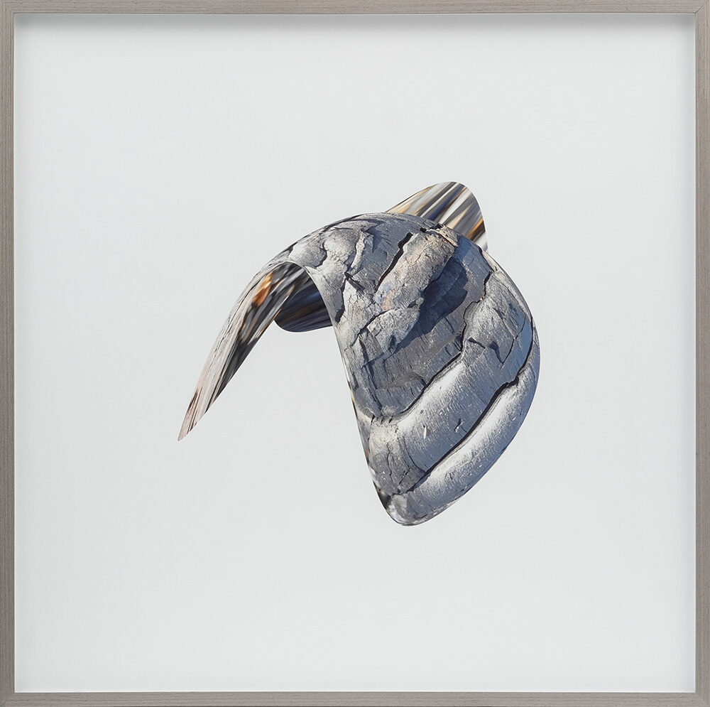 Art & Galleries - Tracy McMenemy - Recent Works