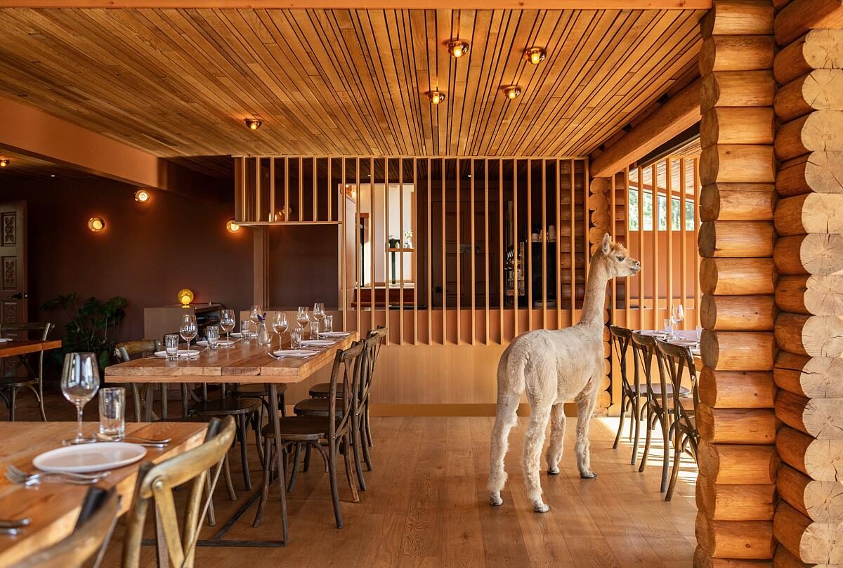 Design - Lola Restaurant